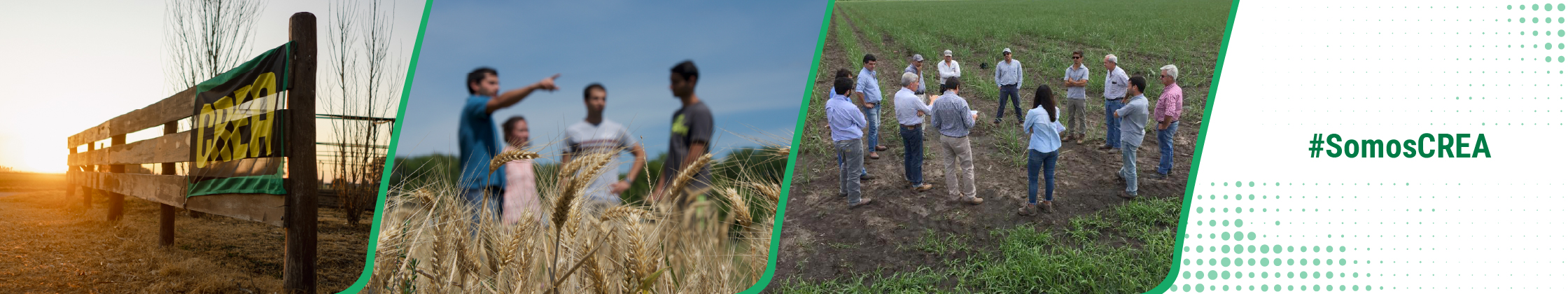 Imagen institucional